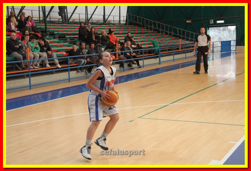 140301 GM_basket 144_tn.jpg